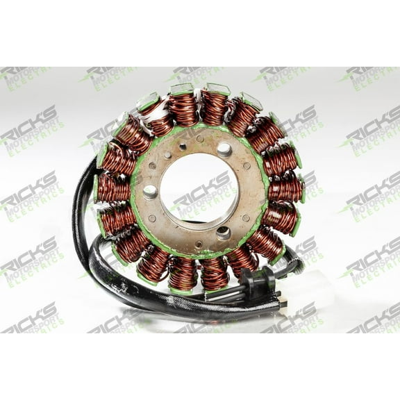 Ricks Motorsport Electric - 21-206 - Stator