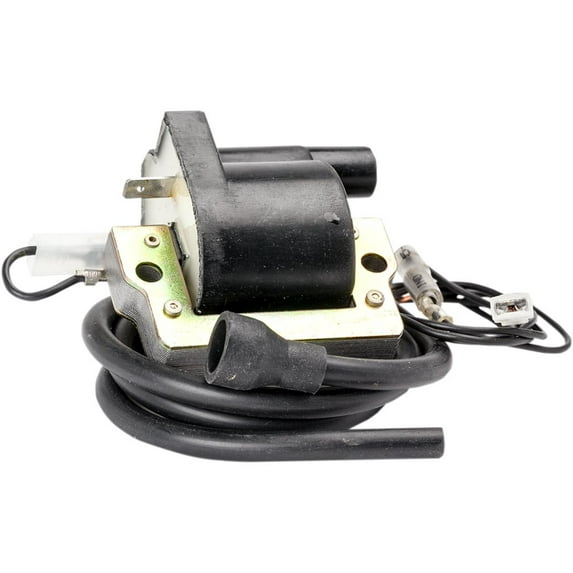 Rick's Motorsport Electric 23-202 Ignition Coil