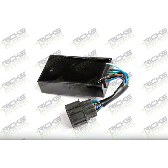 Ricks OE Style CDI Box