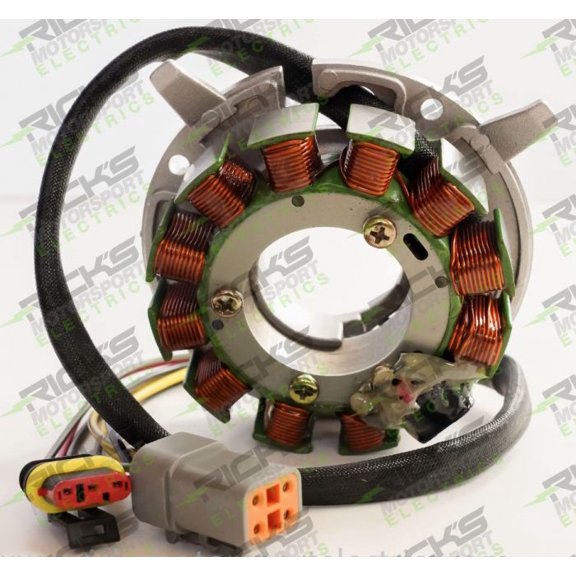 Rick'S Electric Ski Doo Stator