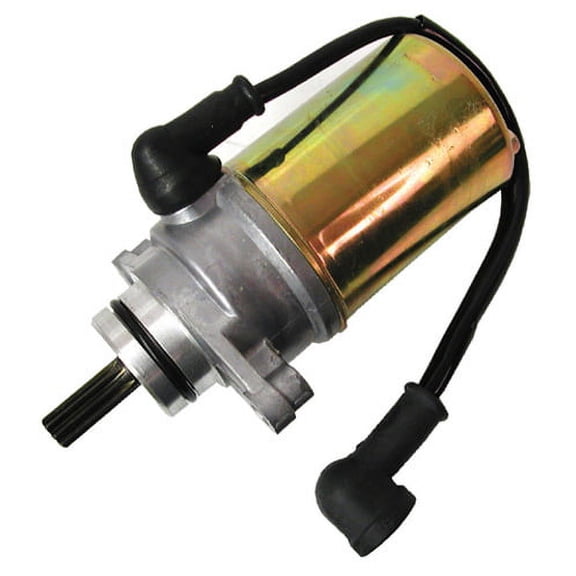 Ricks Starter Motor For Yamaha