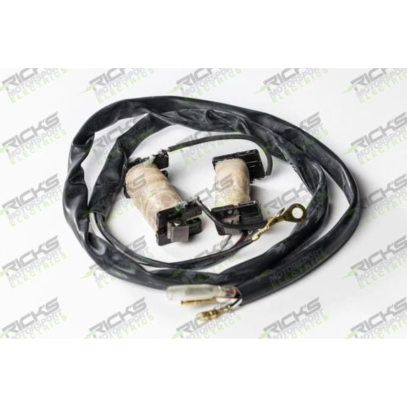 Rick's Motorsport Electrics 22-780 Stator Kit