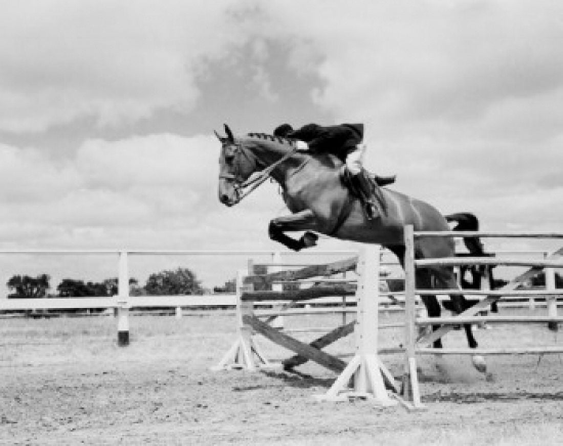 Rider and horse jumping over obstacle Canvas Art - (18 x 24)