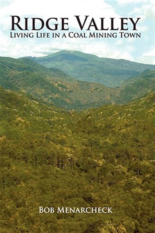 Pre-Owned Ridge Valley : Living Life in a Coal Mining Town - Walmart.com