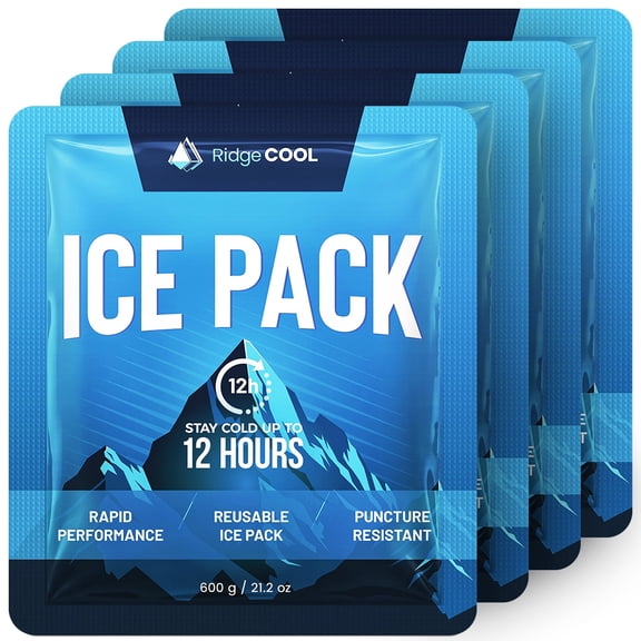Ridgecool Reusable Lunch Box Ice Pack Set for Coolers, Cold 12 Hours, BPA Free, 9.8" x 8.6", 4 Pack
