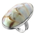 thumbnail image 1 of Ridged Nautilus Shell 925 Sterling Silver Ring, 1 1/2", 1 of 4