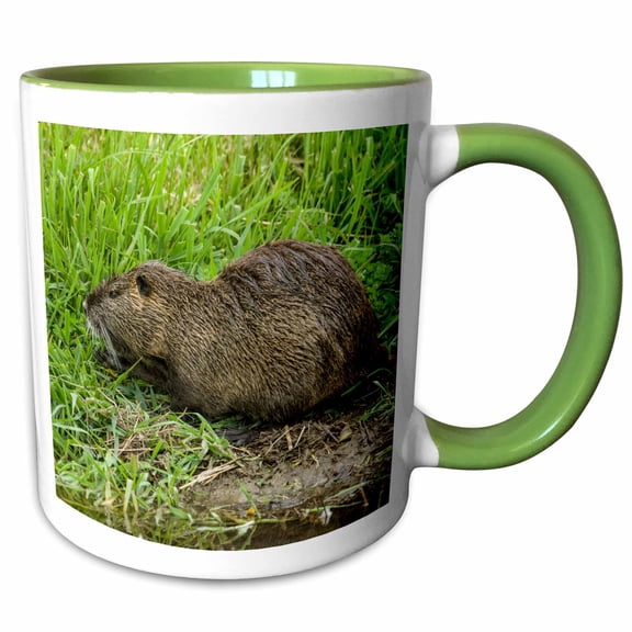 3drose, Ridgefield, Wa. Nutria in Ridgefield Nwr. Coypu, 11oz Two-tone Green Mug