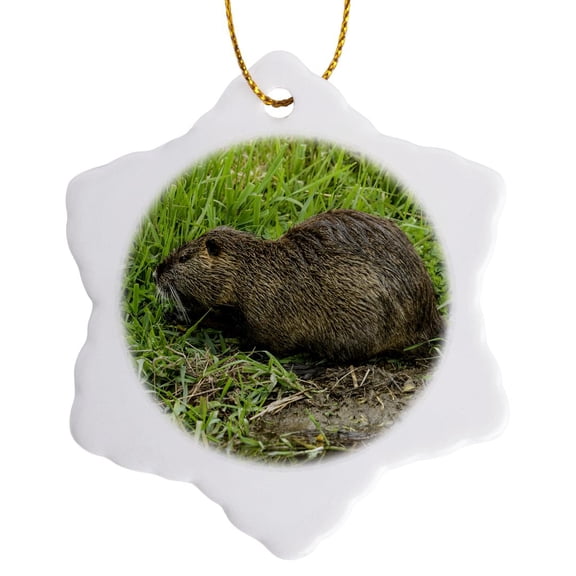 3drose, Ridgefield, Wa. Nutria in Ridgefield Nwr. Coypu, 3 inch Snowflake Porcelain Ornament