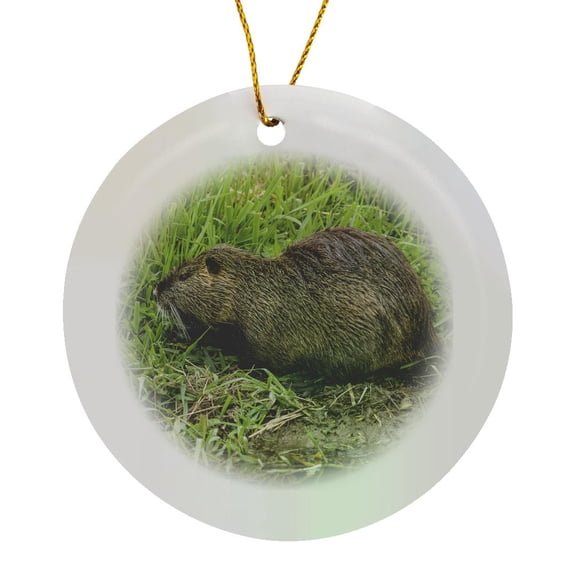 3drose, Ridgefield, Wa. Nutria in Ridgefield Nwr. Coypu, Circle Porcelain Ornament