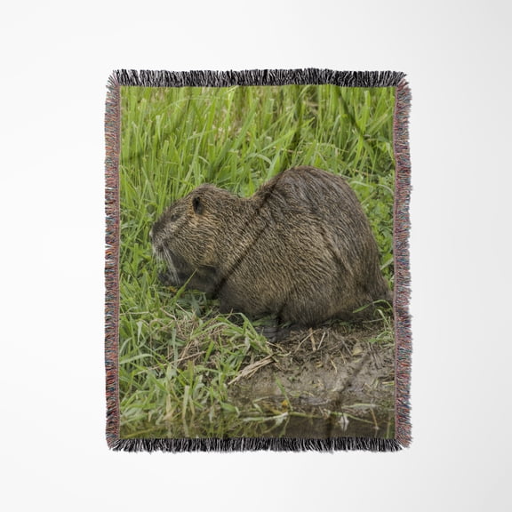 Ridgefield, Wa. Nutria In Ridgefield Nwr. Coypu, Woven Blanket