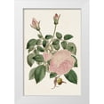 thumbnail image 1 of Ridgeway 13x18 White Modern Wood Framed Museum Art Print Titled - Pink Floral Mix II, 1 of 4