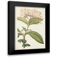 thumbnail image 1 of Ridgeway 17x24 Black Modern Framed Museum Art Print Titled - Antique Botanical Collection VI, 1 of 5