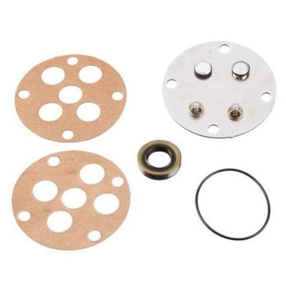 Ridgid Pump Repair Kit 33422