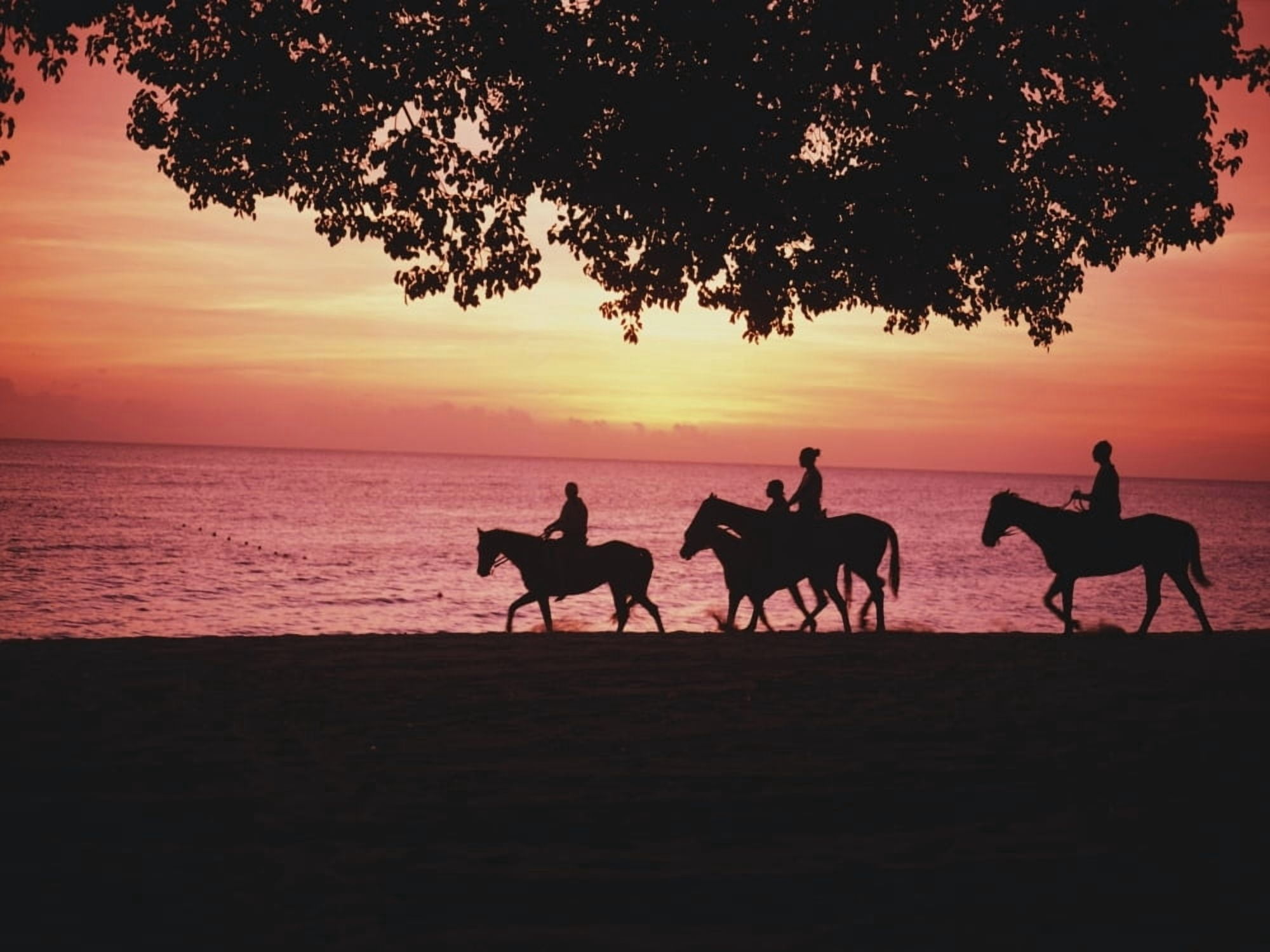 Riding Horses On The Beach At Sunset Canvas Art - Chris Caldicott Design Pics (16 x 12)