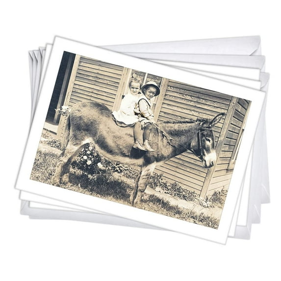 Riding Your Donkey Funny Womens Birthday Greeting Cards | 3 Pack Set (5x7)