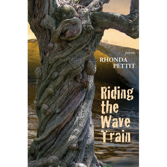 Riding the Wave Train (Paperback)