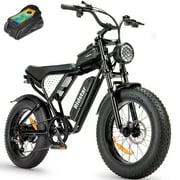 Ridstar 20" Fat Tire E-Bike for Adults,1200W 30MPH Mountain Bike,48V 15.6Ah Electric Bicycle,7 Speed Off Road UL2849
