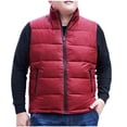 thumbnail image 1 of Riecok Cotton Vest for Men Stand up Collar Sleeveless Jackets Zip up Coats with Pockets Warm Comfortable Outerwear, 1 of 8