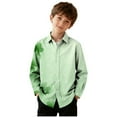 thumbnail image 1 of Riecok Long Sleeve Shirts for Boys St Patrick's Day Lapel Collared Graphic Print Button up Blouse Holiday Dressy Tops, 1 of 8