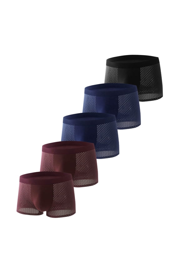 Mens Briefs Underwear Pack Mid-Rise Stretch Breathable Fashion Soft Athletic Underpants 5PC Wine L