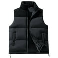 thumbnail image 1 of Riecok Mens Quilted Vest Stand up Collar Sleeveless Jackets Zip up Coats with Pockets Casual Trendy Outerwear, 1 of 4