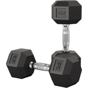 Riedhoff 25 lb Hex Dumbbell Set of 2, Hand Weights Dumbbells Pair with Cast Iron Core, Black