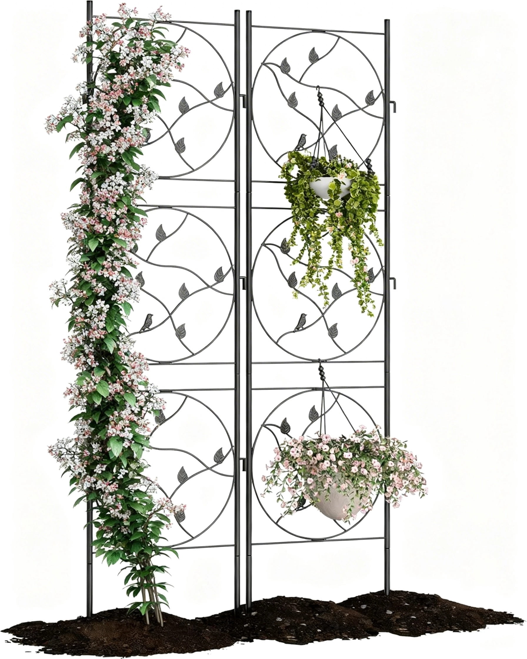 Riedhoff Metal Garden Trellis for Climbing Plants 71.65“ x 20.47”, 2 pack, Black