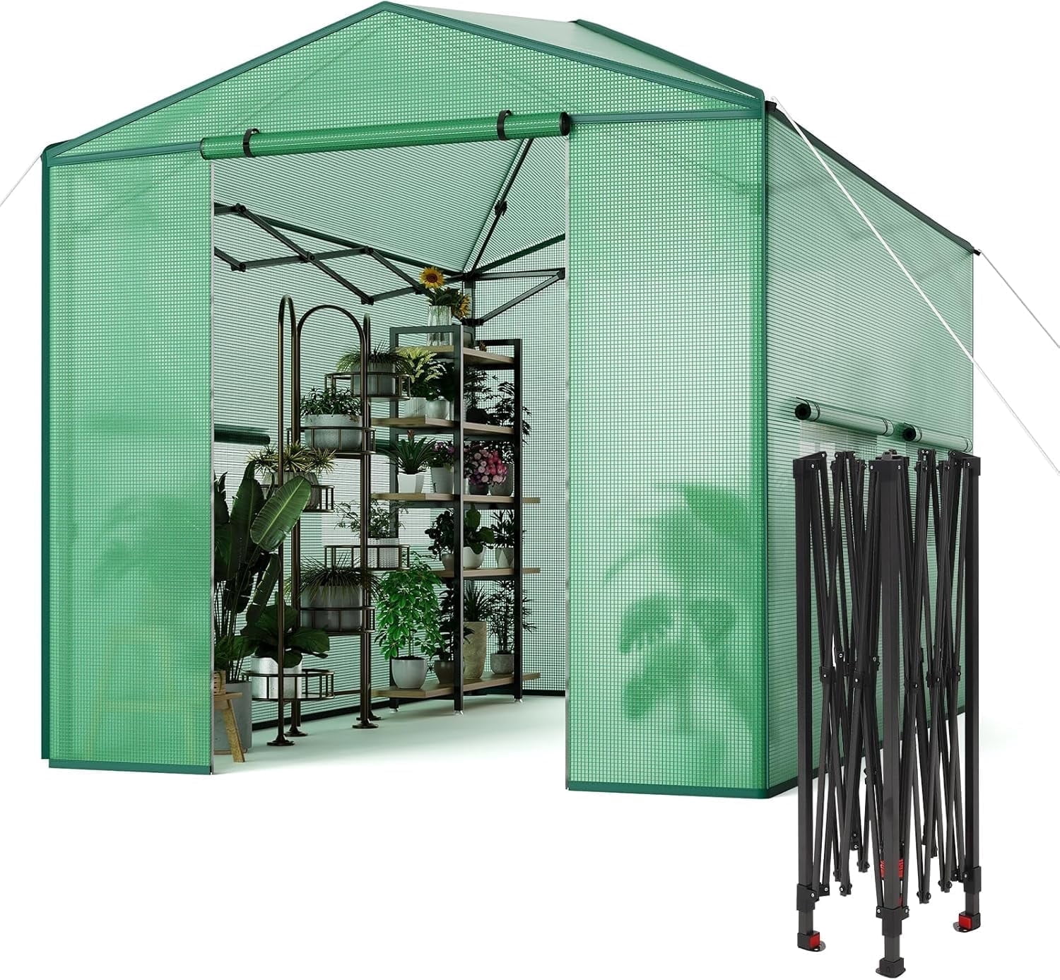 Riedhoff Portable Walk-in Greenhouse 8' x 6', Pop-up , Zippered Doors & Windows, Green
