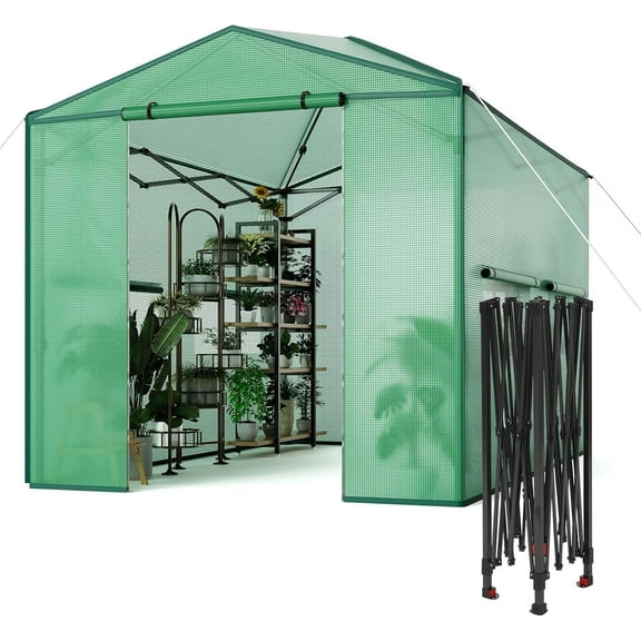 Riedhoff Portable Walk-in Greenhouse 8' x 6', Pop-up , Zippered Doors & Windows, Green