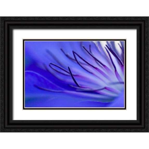 Riedt, Kirsten 14x11 Black Ornate Wood Framed with Double Matting Museum Art Print Titled - Blue arms