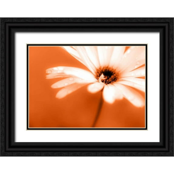 Riedt, Kirsten 18x14 Black Ornate Wood Framed with Double Matting Museum Art Print Titled - Leaned