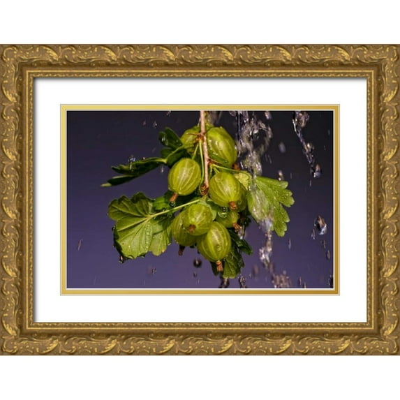 Riedt, Kirsten 32x23 Gold Ornate Wood Framed with Double Matting Museum Art Print Titled - Stachelbeere