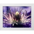 thumbnail image 1 of Riedt, Kirsten 32x25 White Modern Wood Framed Museum Art Print Titled - Purple melody, 1 of 4