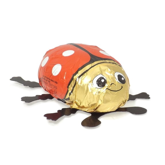 Riegelein Large Chocolate Ladybug Gift 50g