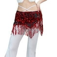thumbnail image 1 of Ediodpoh Carnival Sequin Skirt for Women Fringe Nightclub Stage Fashion Belly Dance Scarf with Sparkly Details Skirts for Women Grey One Size, 1 of 4