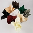 thumbnail image 1 of Rifz MJS 100% Spun Polyester 1 PLY Table Linens Napkins Black 12 PK, 1 of 1