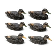 Rig Em Right Mainline Black Duck Decoys 6PK