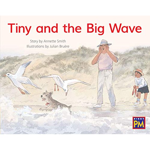 Pre-Owned Leveled Reader Yellow Fiction Level 8 Grade 1: Tiny and the Big Wave (Paperback) 0358121760 9780358121763