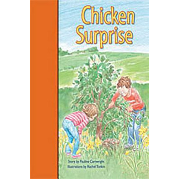 Pre-Owned Rigby PM Stars Bridge Books: Individual Student Edition Orange Chicken Surprise (Paperback) 1419055046 9781419055041