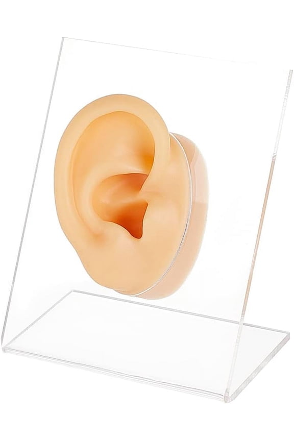Right Ear Displays Model Silicone Ear Model Rubber Ear Silicone Flexible Ear Model with Acrylic Display Stands