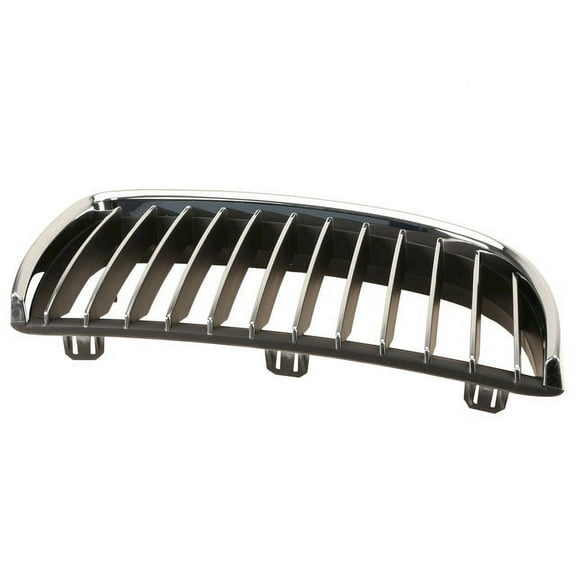Right Grille Insert - Compatible with 2006 BMW 325i