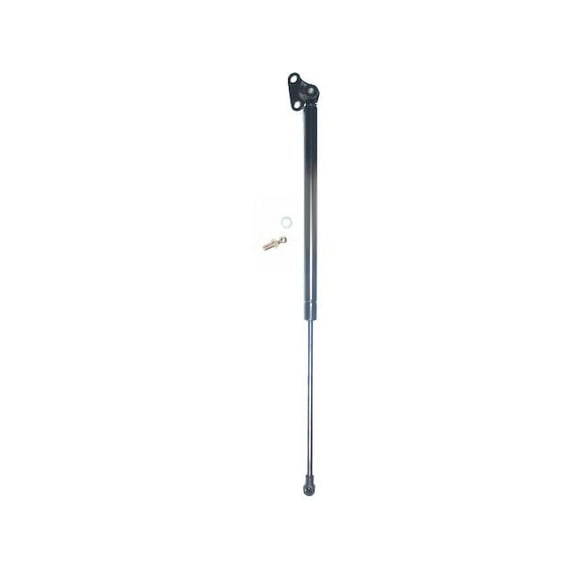 Right Liftgate Lift Support - Compatible with 1998 - 2007 Toyota Land Cruiser 1999 2000 2001 2002 2003 2004 2005 2006