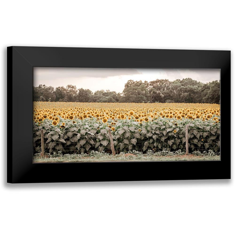 Rigsby, Jennifer 18x11 Black Modern Framed Museum Art Print Titled ...