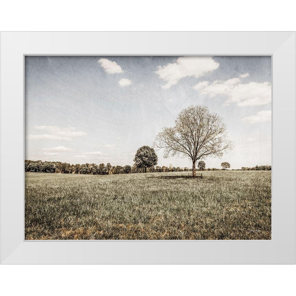 Rigsby, Jennifer 32x25 White Modern Wood Framed Museum Art Print Titled ...