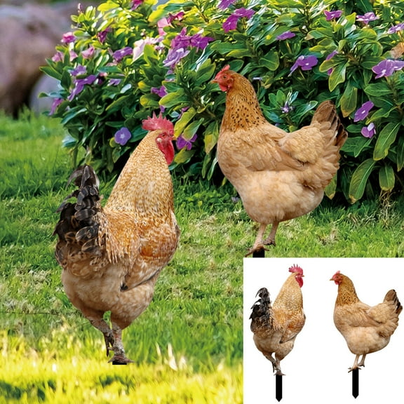 Riguas 2-Piece Acrylic Rooster Garden Stakes with Hand-Painted Decorative Chicken Sculpture
