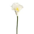 thumbnail image 1 of Riguas Artificial Common Calla Lily Realistic Fake Flower Stem Home Office Wedding Party Indoor Outdoor Faux Bloom Centerpiece Decoration, 1 of 7