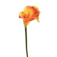 thumbnail image 1 of Riguas Artificial Common Calla Lily Realistic Fake Flower Stem Home Office Wedding Party Indoor Outdoor Faux Bloom Centerpiece Decoration, 1 of 7