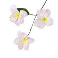 thumbnail image 1 of Riguas Artificial Lily Flower 3 Heads Full Bloom Faux Lily Branch with Leaves Real Touch Fake Lilium Flower for DIY Wedding Bouquet Floral Arrangement, 1 of 7