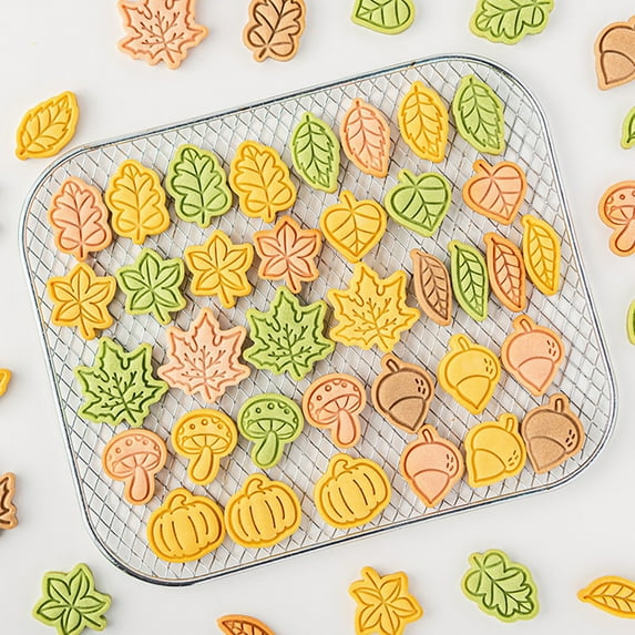 Riguas Biscuit Fondant Stamp Easy Demoulding DIY Food Grade Plastic Mini Leaf Mushroom Palm Fruit Pumpkin Shape Cookie Press Mold for Autumn Thanksgiving Day