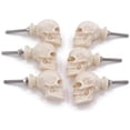 thumbnail image 1 of Rii Brand Resin Skull Knobs Nautical Ivory Colored Knobs Set of 6, 3", 1 of 5